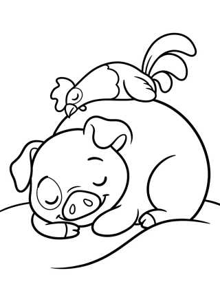 Desenho de Pua Dormindo com Hei Hei Empoleirado para colorir e imprimir grátis
